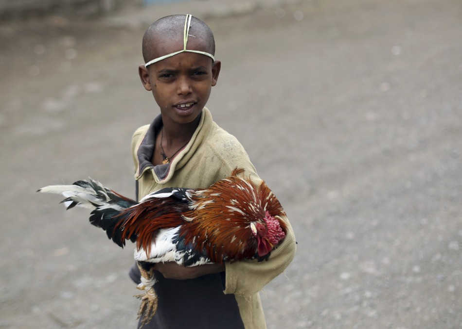 An Orthodox Christian boy holds a chicken for sale at a market ahead of Orthodox Easter in Lalibela May 4, 2013.