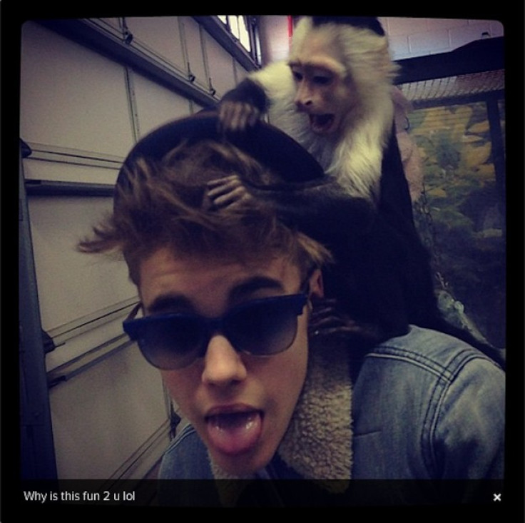Justin Bieber faces bill for monkey’s upkeep in Germany