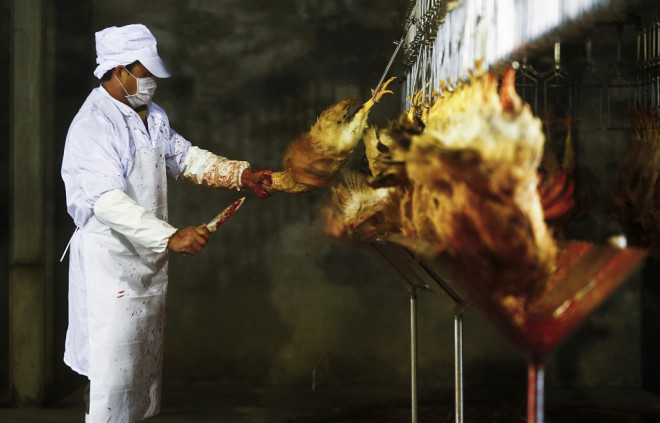 H7N9 has cost China £4.2bn (Reuters) H7N9 has cost China £4.2bn (Reuters)