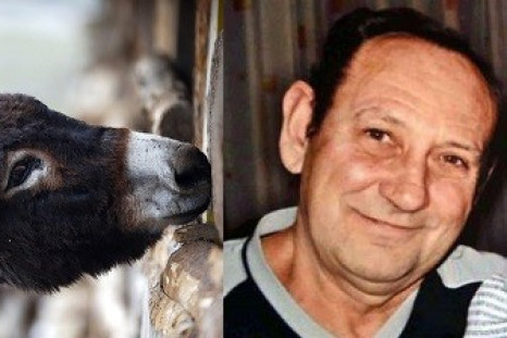 The donkeys mauled Sandor Horvath after dragging him of his mobility scooter (Reuters)