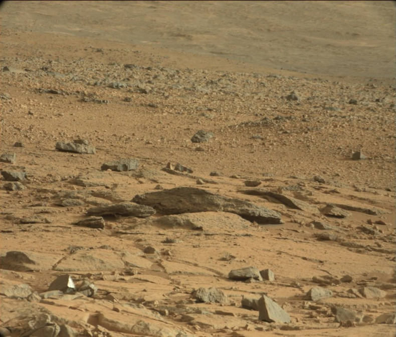 Where is the Mars Rat? [Image Courtesy: NASA/JPL-Caltech/MSSS]