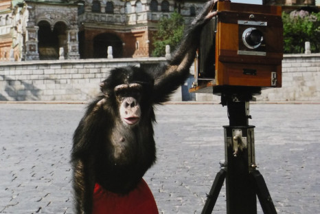 Our Moscow Through the Eyes of Mikki