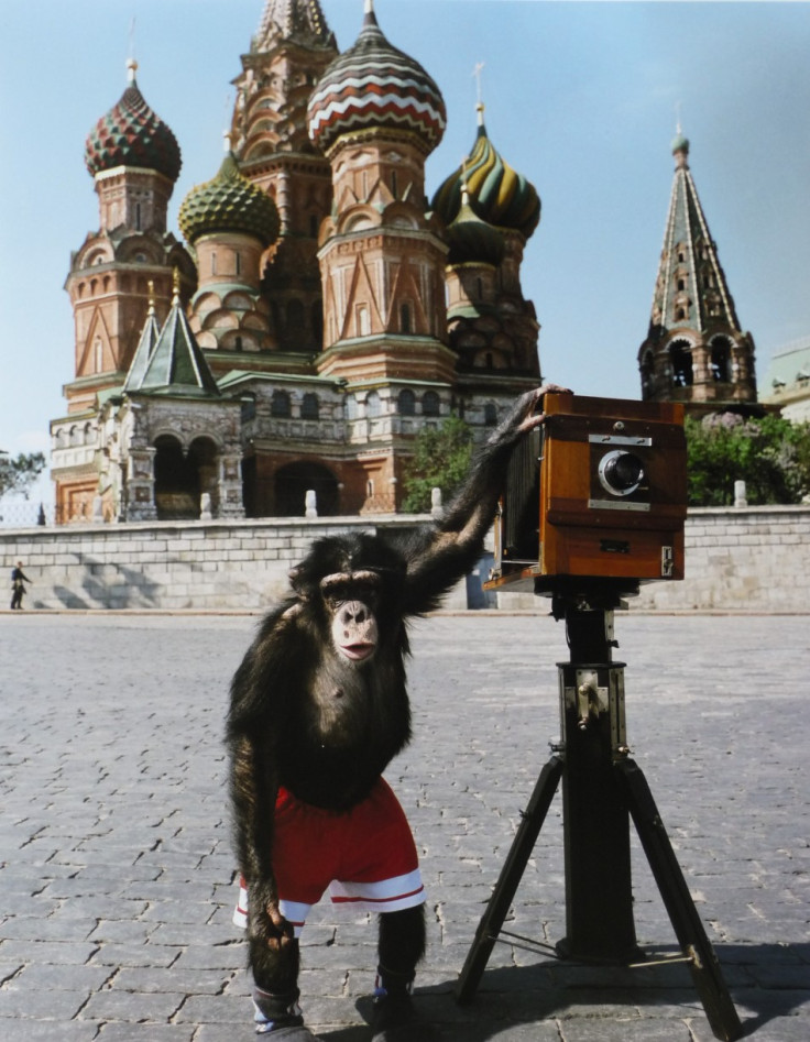 Our Moscow Through the Eyes of Mikki