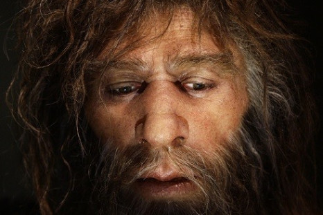 The research shows at least one Neanderthal suffered a cancer that is common in modern-day humans (Reuters)