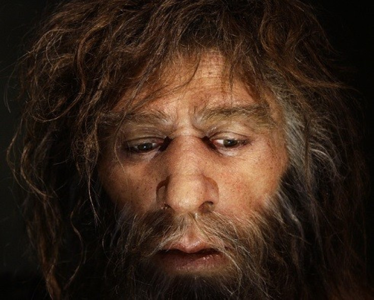 The research shows at least one Neanderthal suffered a cancer that is common in modern-day humans (Reuters)
