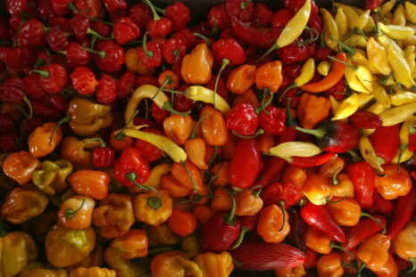 The World's Hottest Chilli is India's Bhut (Naga) Jolakia