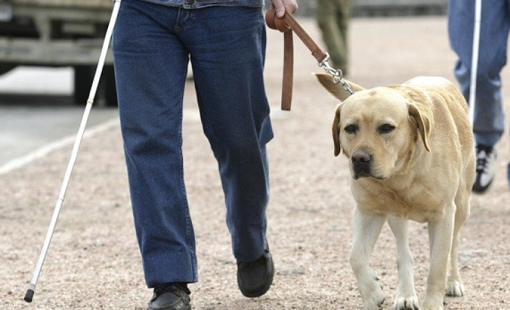 A report says around 10 guide dogs are being attacked every month (Reuters)