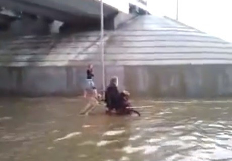 Dog pushing man in wheelchair