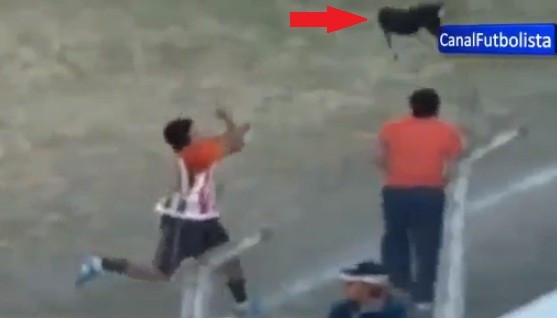 Dog in space: Bella Vista player Jimenez hurls hound in the air