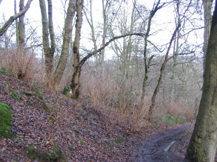 Corstorphine Hill