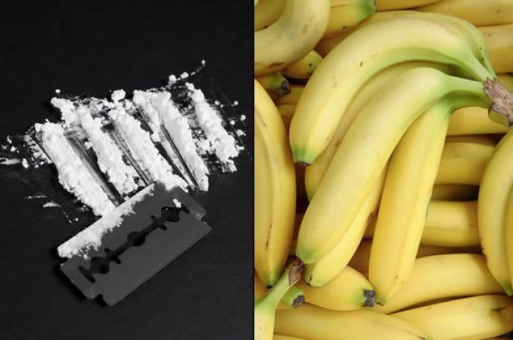 Banana Cocaine haul