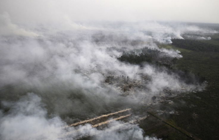 An aerial view of burning lands in Palalawan district in Riau province (Reuters)