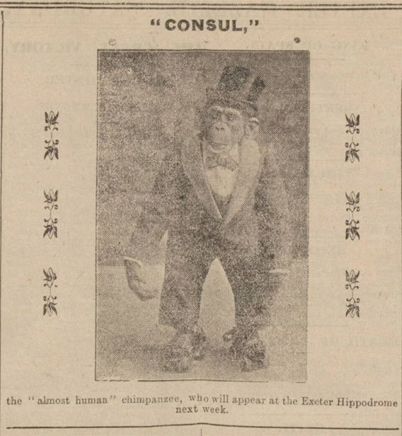 Consul