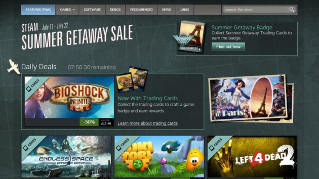 Steam Summer Sale 2013 (Courtesy: store.steampowered.com) Steam Summer Sale 2013 (Courtesy: store.steampowered.com)