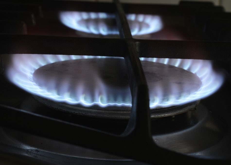 Energy costs will rise to 22% by 2020 from 7% in 2007 Energy costs will rise to 22% by 2020 from 7% in 2007