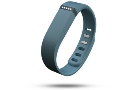 Fitbit Flex Review