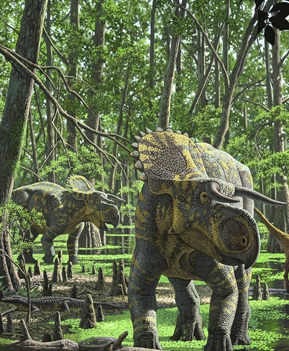Nasutoceratops titus