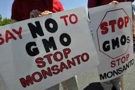 GMO Monsanto