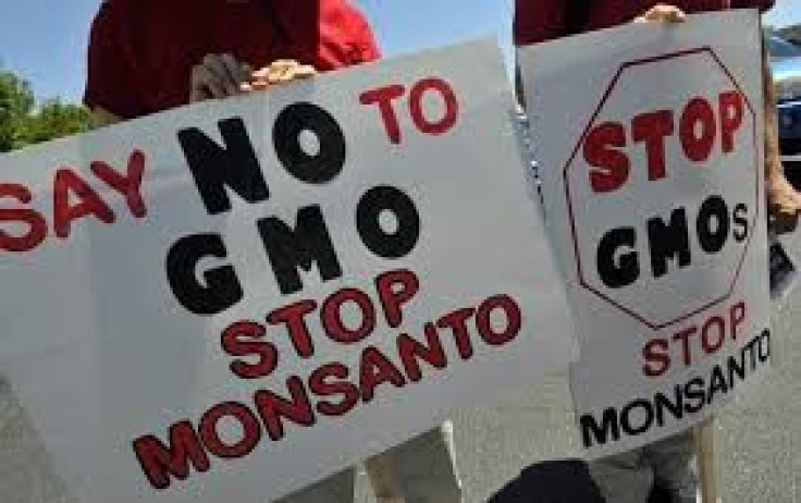 GMO Monsanto