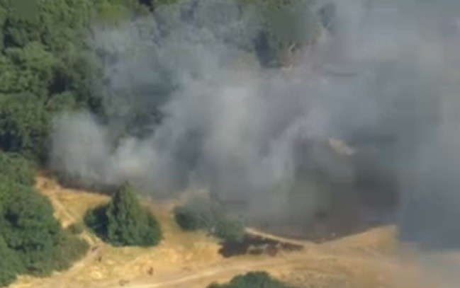 Grass fire in east London near Whipps Cross Hospital