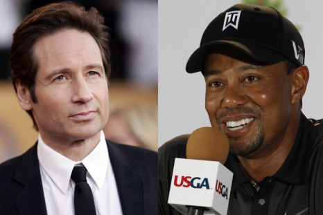 David Duchovny and Tiger Woods both sought treatment for sex addiction (Reuters)