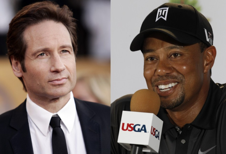 David Duchovny and Tiger Woods both sought treatment for sex addiction (Reuters)