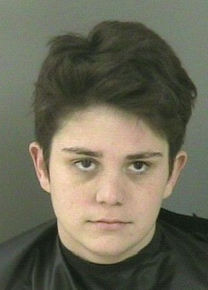 Ashley Rivera has accused her ex-girlfriend of stealing three strap-on dildos (Police photo)