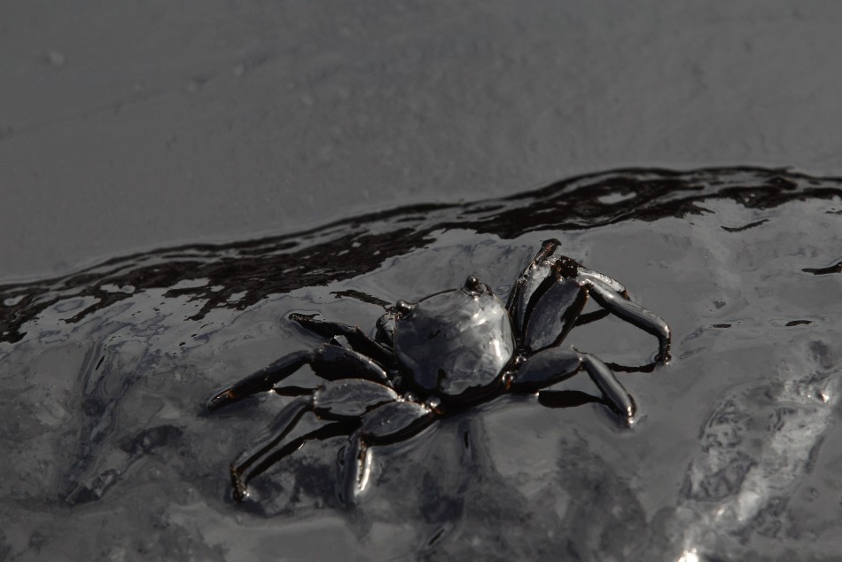 Gulf of Thailand Oil Spill Blackens Koh Samet Beaches