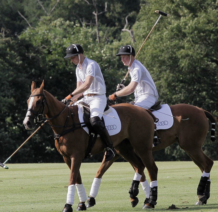 Prince Harry R and Prince William prepare to compete in a charity polo match at Coworth Park, southern England August 3, 2013.