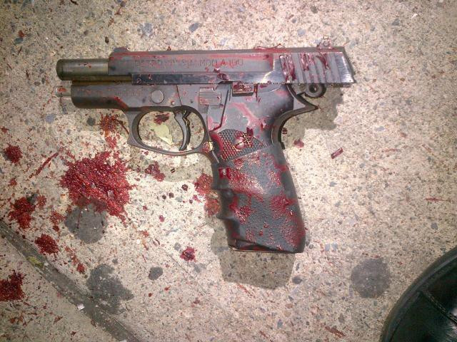 Gun