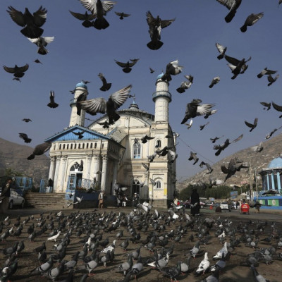 Pigeons fly outside the Shah-e Doh Shamshira mosque as Afghans head for morning prayers on Eid-al-Fitr in Kabul, Afghanistan, August 8, 2013. (Photo: REUTERS/Omar Sobhani)