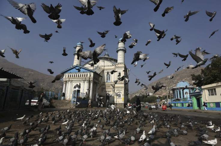 Pigeons fly outside the Shah-e Doh Shamshira mosque as Afghans head for morning prayers on Eid-al-Fitr in Kabul, Afghanistan, August 8, 2013. (Photo: REUTERS/Omar Sobhani)