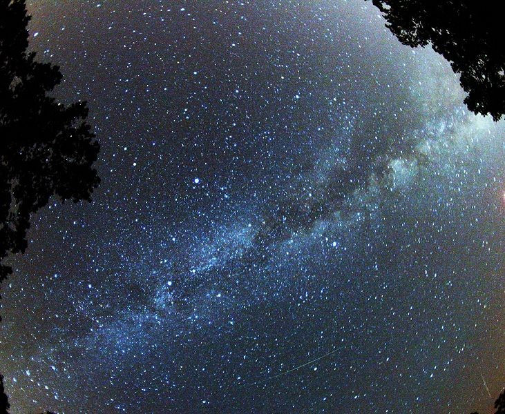 Perseid Meteor Shower