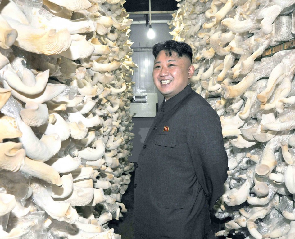 North Korean Farmer Cultivates 20Kg Mushroom Following Kim -8800
