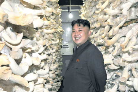 North Korea - the Mushroom Kingdom