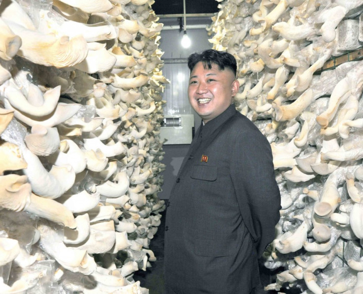 North Korea - the Mushroom Kingdom