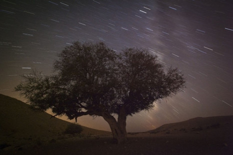 A long exposure shows stars behind a tree during the annual Perseid meteor shower near the southern town of Mitzpe Ramon, August 13, 2012. The annual Perseid meteor shower 2013 is expected to reach its peak between 12 and13 August. (Photo: REUTERS/Amir Co