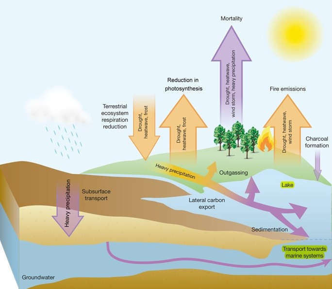 Extreme Weather: Atmospheric Co2 In Vicious Circle Of Climate Change