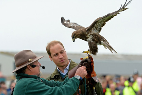 Prince William