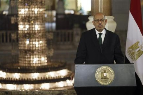 Egypt's interim Vice President Mohamed ElBaradei