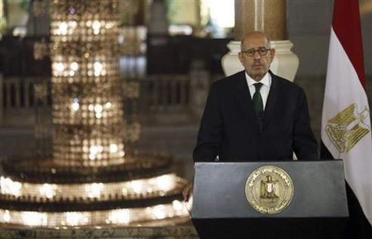Egypt's interim Vice President Mohamed ElBaradei