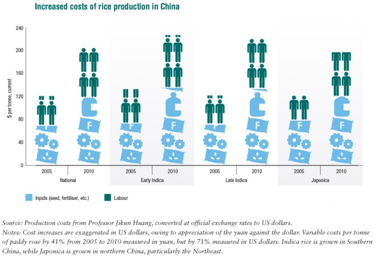 Rice production