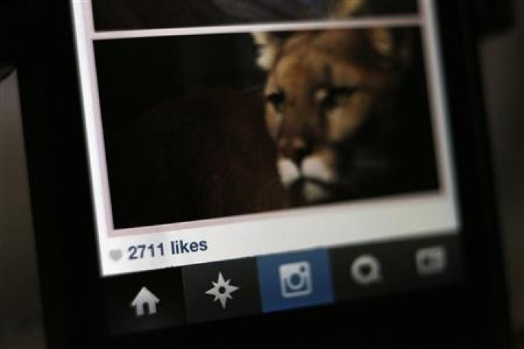 Instagram Likes Creates by Zeus Malware