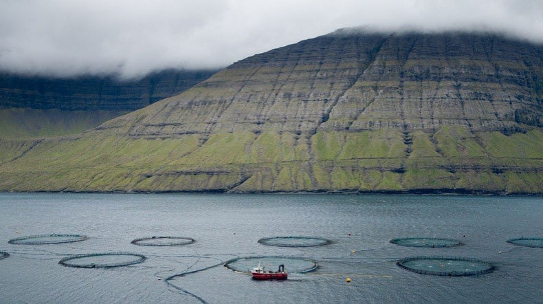 The Faroe Islands has been criticised by a number of authorities over the trebling of its fishing quota (Photo: http://www.faroeislands.fo/)
