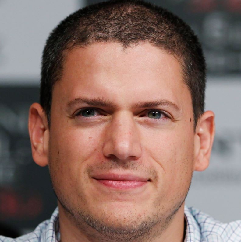 Prison Break Star Wentworth Miller Attacks Russian 