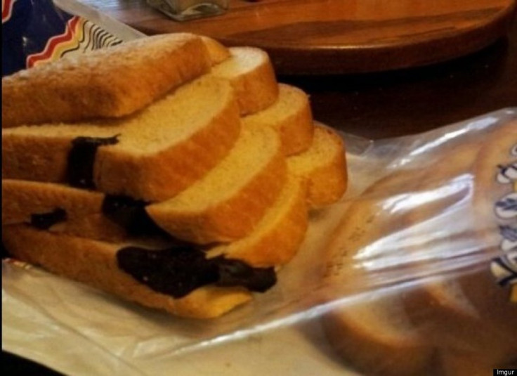 Snake baked inside bread loaf