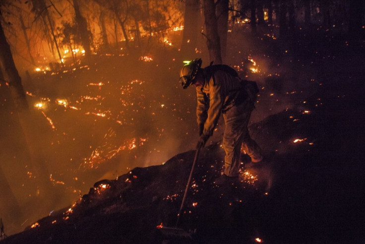 Firefighter Dave Beck rakes embers away from a road on the rim fire near Buck Meadows, California. (Photo: Reuters)