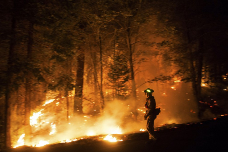 Running surface fire has affected direct line suppression efforts to control Rim Fire in Yosemite National Park , said the park officials. (Photo: Reuters)