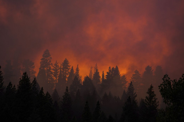 The sun sets on the Rim Fire near Buck Meadows, California. (Photo: Reuters)
