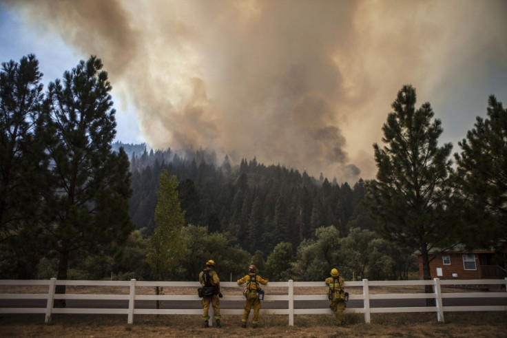 Firefighters monitor the edge of the Rim Fire as it burns near Berkeley Camp near Buck Meadows, California. (Photo: Reuters)